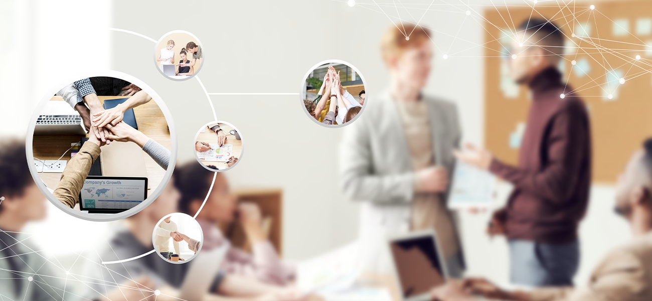 品质有保障可溯源